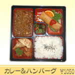 �n���o�[�O���J���[�ٓ�S